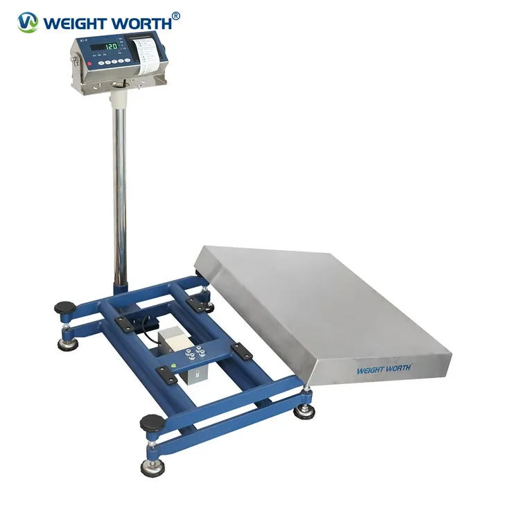 Industrial Platform Scale